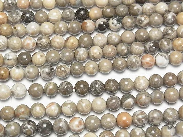 [Video] Fossil Coral Round 8mm half or 1strand beads (aprx.15inch/36cm)