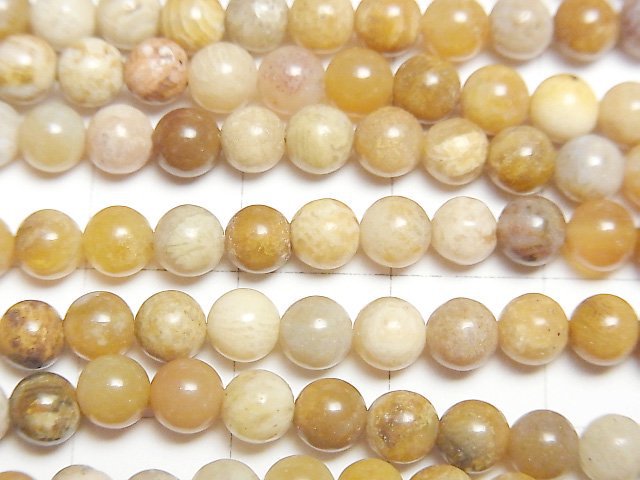 [Video]Fossil Coral Round 4.5mm 1strand beads (aprx.15inch/37cm)