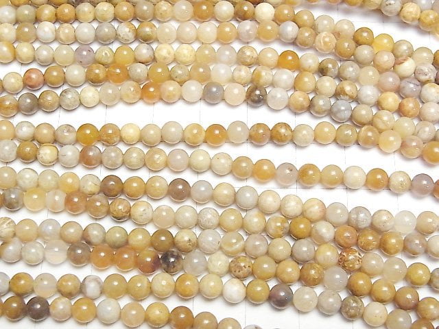 [Video]Fossil Coral Round 4.5mm 1strand beads (aprx.15inch/37cm)