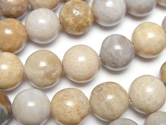 [Video]Fossil Coral Round 12mm half or 1strand beads (aprx.14inch/34cm)