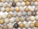 [Video]Fossil Coral Round 12mm half or 1strand beads (aprx.14inch/34cm)