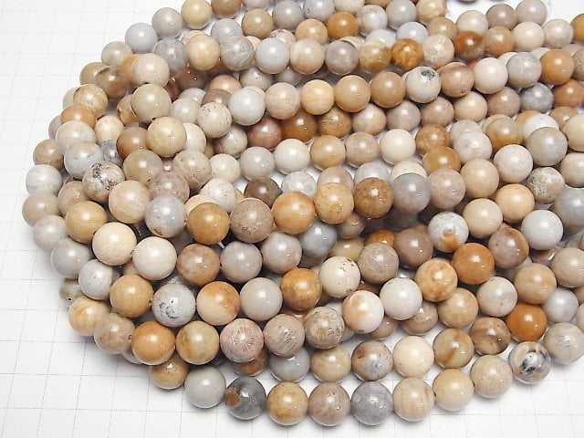 [Video]Fossil Coral Round 12mm half or 1strand beads (aprx.14inch/34cm)