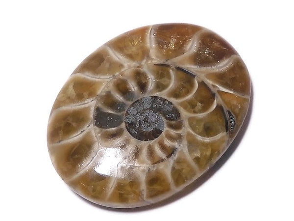 [Video][One of a kind] Ammonite Loose stone 1pc NO.126