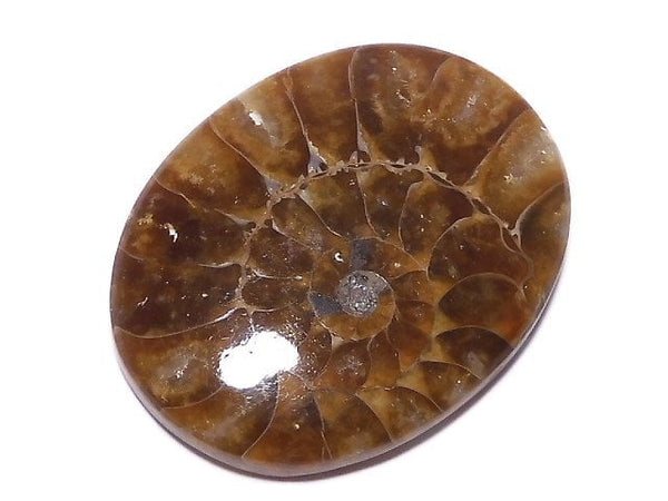 [Video][One of a kind] Ammonite Loose stone 1pc NO.127