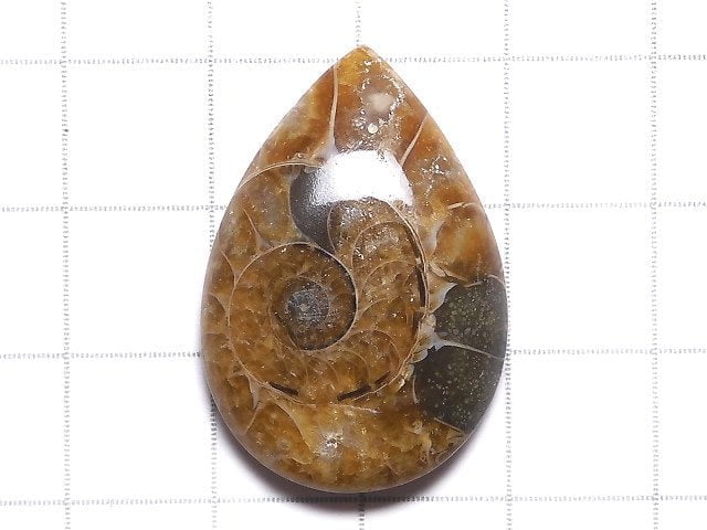 [Video][One of a kind] Ammonite Loose stone 1pc NO.128