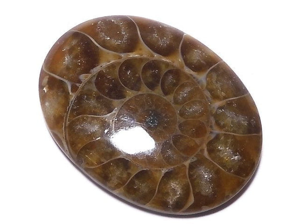 [Video][One of a kind] Ammonite Loose stone 1pc NO.129