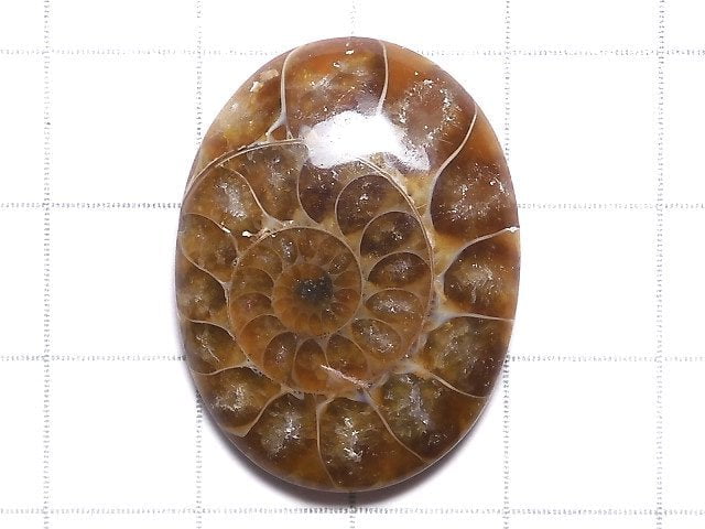 [Video][One of a kind] Ammonite Loose stone 1pc NO.129