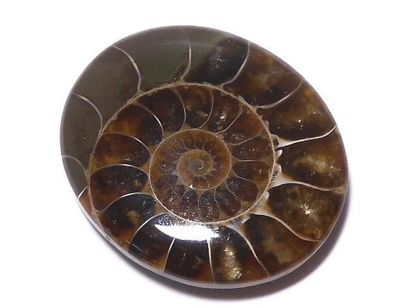 [Video][One of a kind] Ammonite Loose stone 1pc NO.131