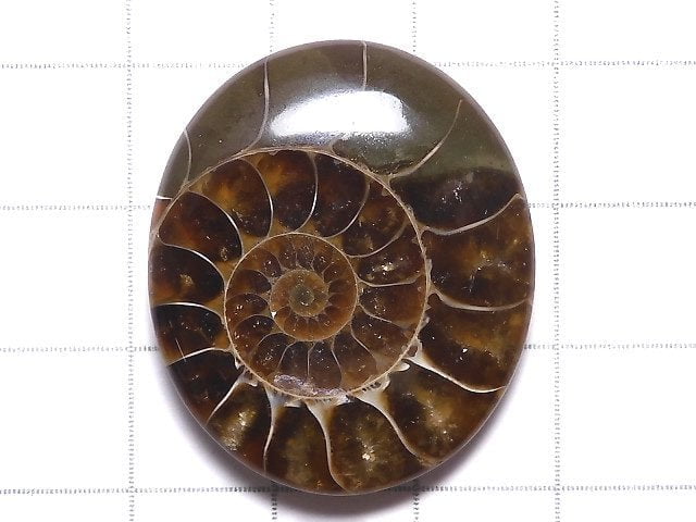 [Video][One of a kind] Ammonite Loose stone 1pc NO.131