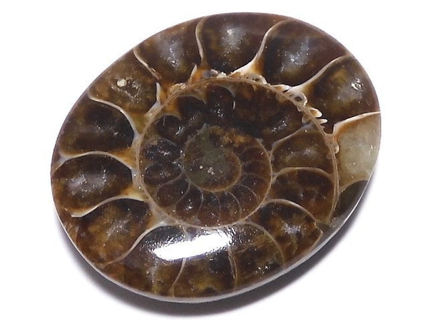 [Video][One of a kind] Ammonite Loose stone 1pc NO.133