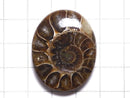 [Video][One of a kind] Ammonite Loose stone 1pc NO.133