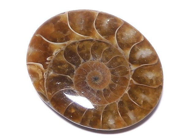 [Video][One of a kind] Ammonite Loose stone 1pc NO.134