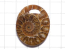 [Video][One of a kind] Ammonite Loose stone 1pc NO.134