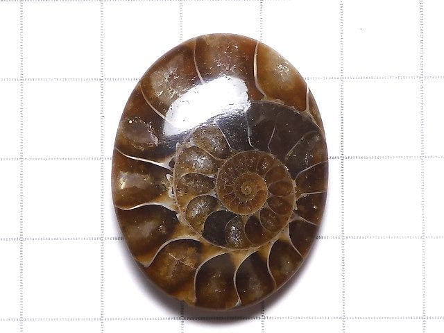 [Video][One of a kind] Ammonite Loose stone 1pc NO.135