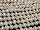 [Video] Fresh Water Pearl AAA- Semi Round-Potato 9-10mm White half or 1strand beads (aprx.15inch/38cm)