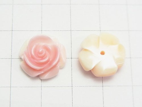 [Video] Queen Conch Shell AAA Rose 15mm [Half Drilled Hole] 1pc