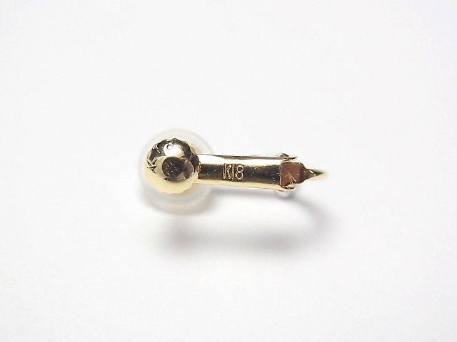 [Video] [18K Yellow Gold] Earrings with Spring Rings (1 pair)