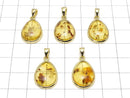 [Video] Baltic Amber Pear shape Pendant 17x13mm 18KGP 1pc
