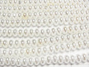 [Video]Shell Pearl White Rondelle 5x5x3mm 1strand beads (aprx.15inch/38cm)