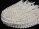 [Video]Shell Pearl White Drop 10x8x8mm 1strand beads (aprx.15inch/38cm)