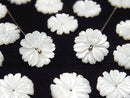 [Video] Mother of Pearl MOP White Flower (Marguerite) 12mm Center Hole 4pcs