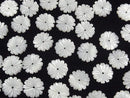 [Video] Mother of Pearl MOP White Flower (Marguerite) 12mm Center Hole 4pcs