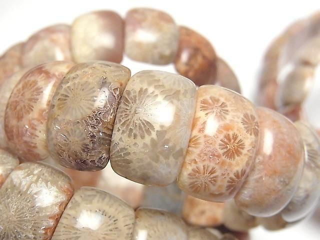 [Video] Fossil Coral 2-Hole Oval 20x10mm 1-Strand (Bangle Bracelet)