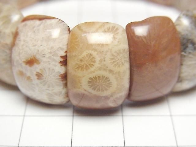 [Video] Fossil Coral 2-Hole Oval 20x10mm 1-Strand (Bangle Bracelet)