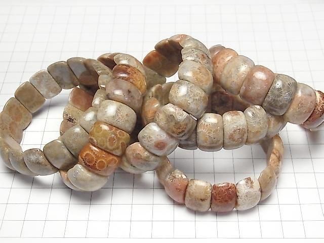 [Video] Fossil Coral 2-Hole Oval 20x10mm 1-Strand (Bangle Bracelet)