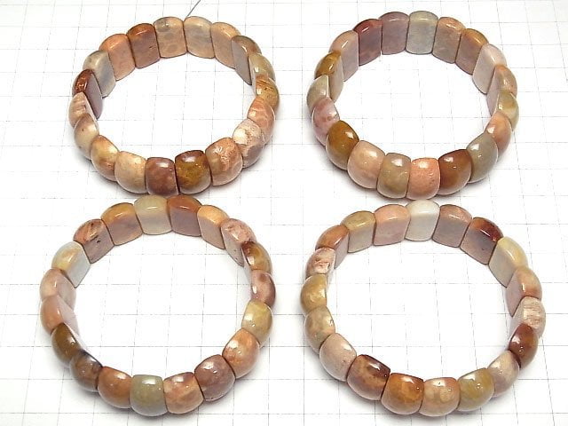 [Video]Fossil Coral 2 Hole Oval 20x10x8mm Bracelet