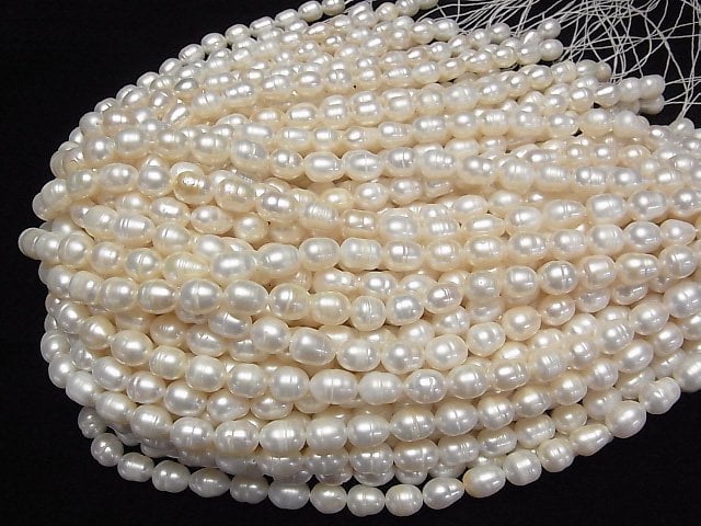 [Video] Fresh Water Pearl AA Rice 10x8x8mm White 1strand beads (aprx.13inch/33cm)