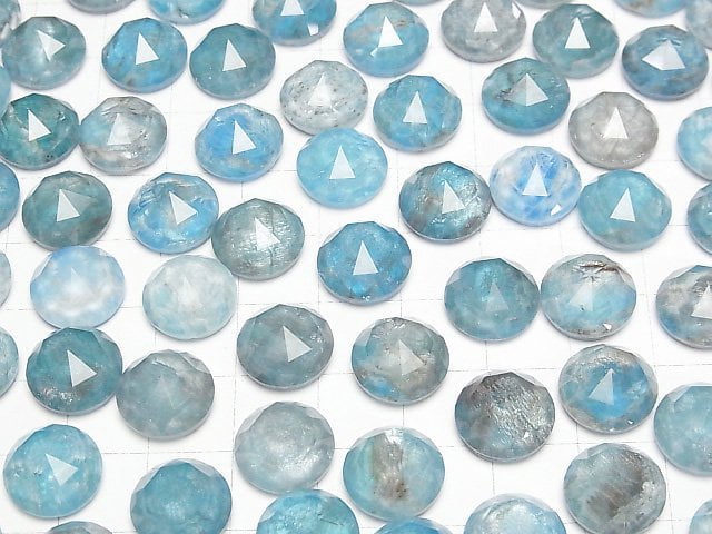 [Video] Apatite x Crystal AAA Round Rose Cut 12x12mm 2pcs