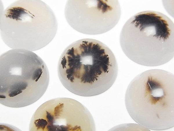 [Video] Montana Moss Agate AA++ Round Cabochon 18x18mm 2pcs