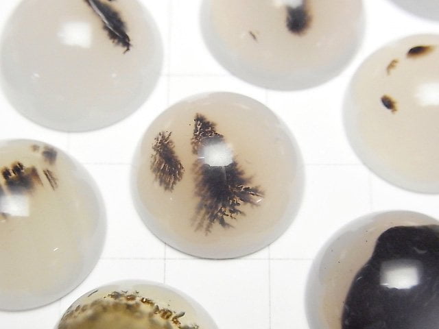 [Video] Montana Moss Agate AA++ Round Cabochon 18x18mm 2pcs