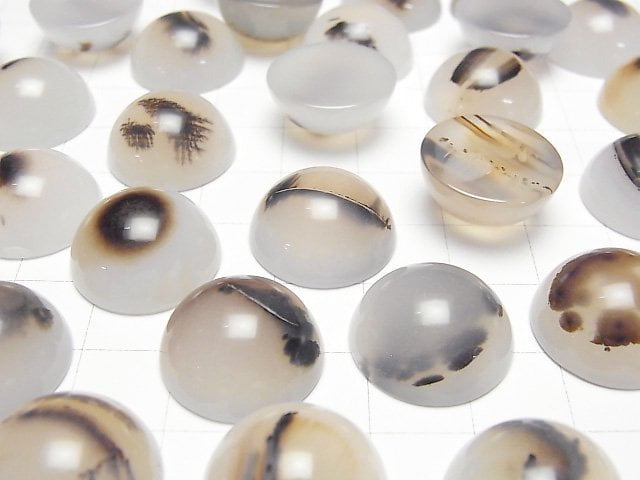 [Video] Montana Moss Agate AA++ Round Cabochon 18x18mm 2pcs