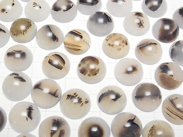 [Video] Montana Moss Agate AA++ Round Cabochon 18x18mm 2pcs