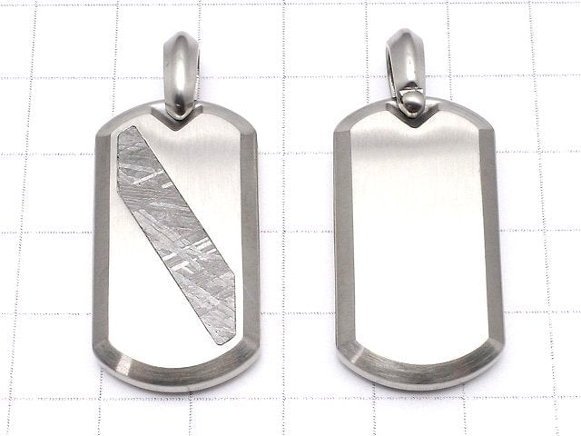 [Video] Meteorite (Muonionalusta) Dog Tag Pendant 35x19mm 1pc