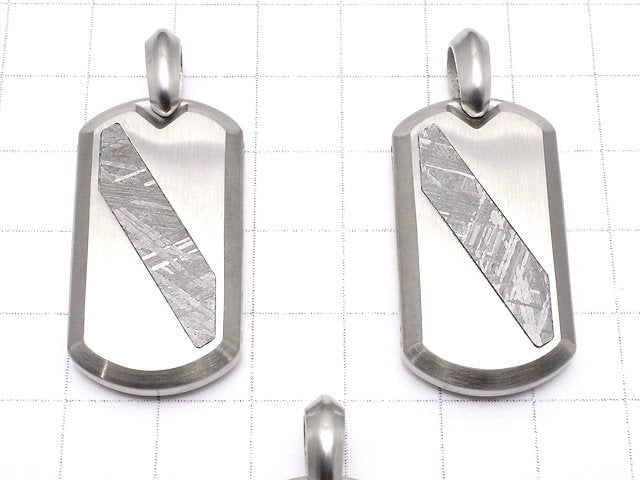 [Video] Meteorite (Muonionalusta) Dog Tag Pendant 35x19mm 1pc