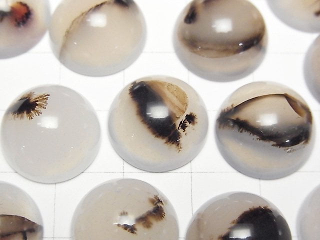 [Video] Montana Moss Agate AA++ Round Cabochon 16x16mm 3pcs