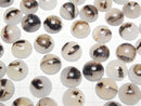 [Video] Montana Moss Agate AA++ Round Cabochon 16x16mm 3pcs