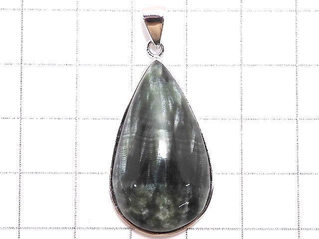 [Video][One of a kind] Seraphinite AAA Pendant Silver925 NO.26