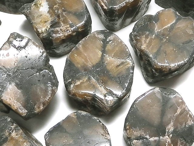 [Video][One of a kind] Chiastolite Nugget (Raw Stone) 16pcs Set NO.2