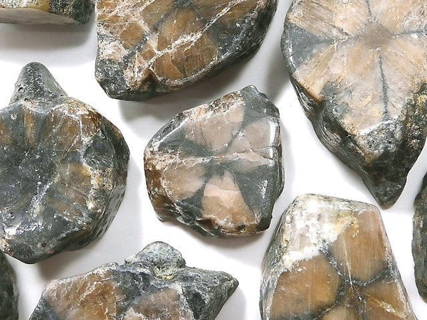 [Video][One of a kind] Chiastolite Nugget (Raw Stone) 12pcs Set NO.4