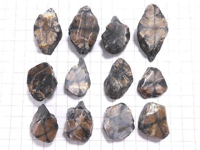 [Video][One of a kind] Chiastolite Nugget (Raw Stone) 12pcs Set NO.4