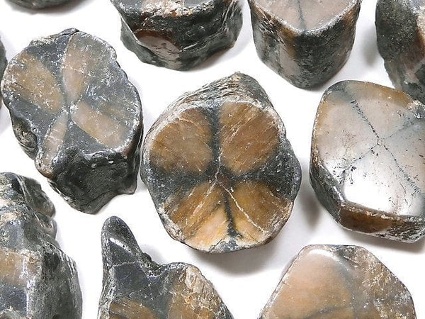 [Video][One of a kind] Chiastolite Nugget (Raw Stone) 15pcs Set NO.5