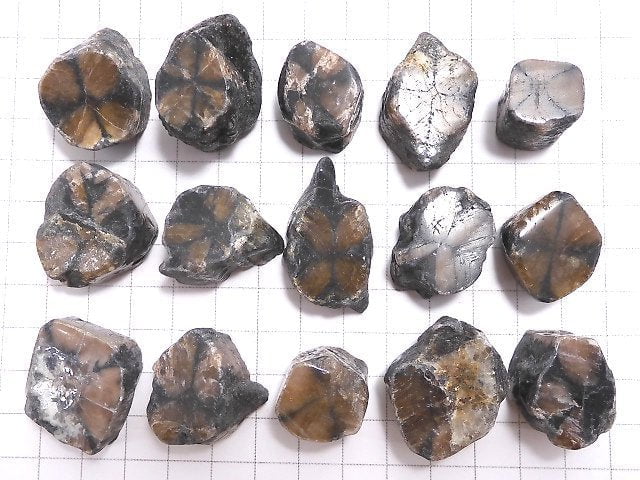 [Video][One of a kind] Chiastolite Nugget (Raw Stone) 15pcs Set NO.5