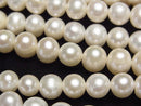 [Video] Fresh Water Pearl AAA- Potato 7-8mm White 1strand beads (aprx.15inch/37cm)