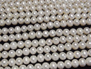 [Video] Fresh Water Pearl AAA- Semi Round-Potato 8-9mm White 1strand beads (aprx.15inch/37cm)