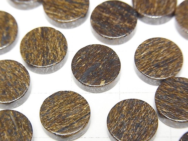 [Video]Bronzite Undrilled Flat Coin 10x10mm 5pcs