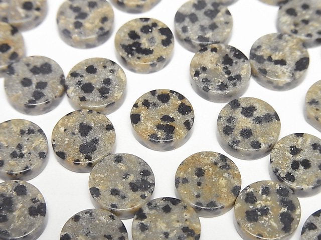 [Video] Dalmatian Jasper Undrilled Flat Coin 10x10mm 5pcs